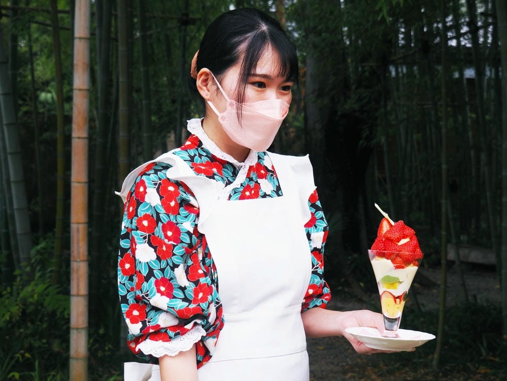 【岡山縣】(2023-2024關西+岡山+倉敷超值票券)一日 【岡山縣】(2023-2024關西+岡山+倉敷超值票券)一日