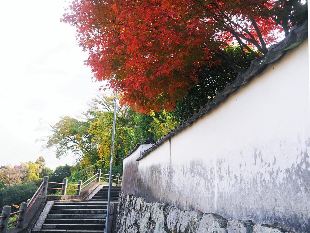 【岡山縣】(2023-2024關西+岡山+倉敷超值票券)一日 【岡山縣】(2023-2024關西+岡山+倉敷超值票券)一日