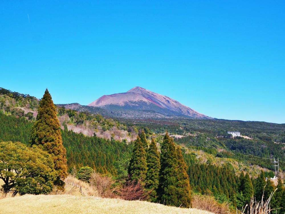 【鹿兒島 | 霧島神宮、神話之里公園】森林裡穿和服,參拜南九 【鹿兒島 | 霧島神宮、神話之里公園】森林裡穿和服,參拜南九
