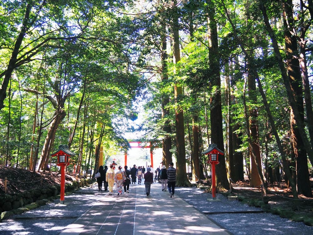 【鹿兒島 | 霧島神宮、神話之里公園】森林裡穿和服,參拜南九 【鹿兒島 | 霧島神宮、神話之里公園】森林裡穿和服,參拜南九