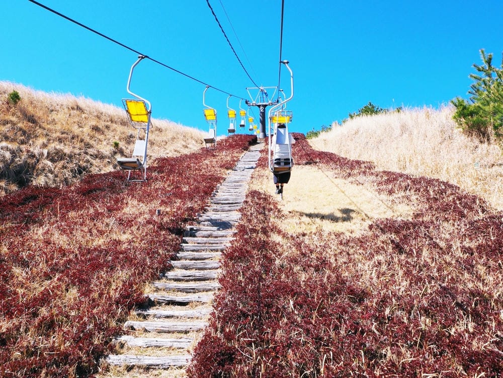 【鹿兒島 | 霧島神宮、神話之里公園】森林裡穿和服,參拜南九 【鹿兒島 | 霧島神宮、神話之里公園】森林裡穿和服,參拜南九