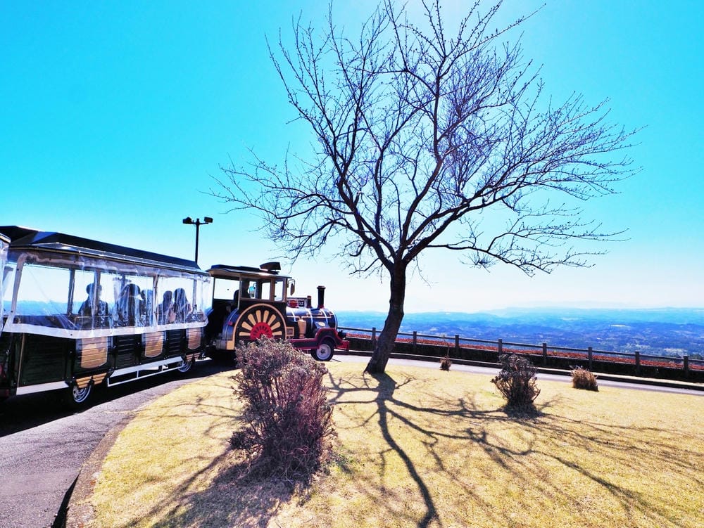 【鹿兒島 | 霧島神宮、神話之里公園】森林裡穿和服,參拜南九 【鹿兒島 | 霧島神宮、神話之里公園】森林裡穿和服,參拜南九
