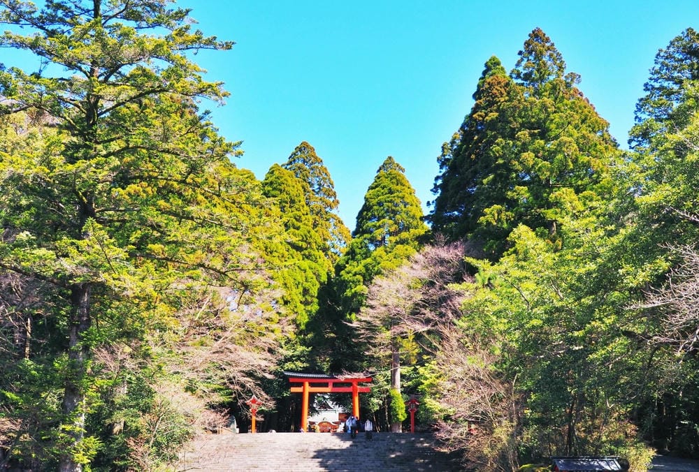 【鹿兒島 | 霧島神宮、神話之里公園】森林裡穿和服,參拜南九 【鹿兒島 | 霧島神宮、神話之里公園】森林裡穿和服,參拜南九