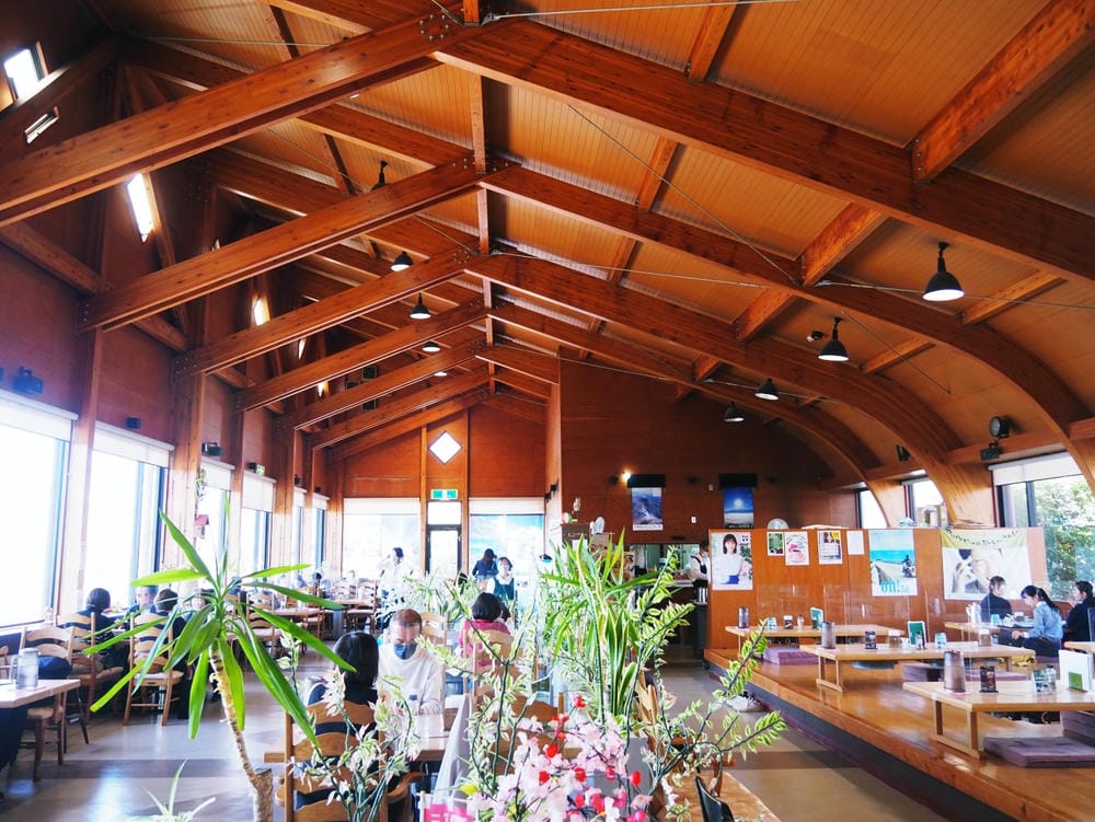 【鹿兒島 | 霧島神宮、神話之里公園】森林裡穿和服,參拜南九 【鹿兒島 | 霧島神宮、神話之里公園】森林裡穿和服,參拜南九