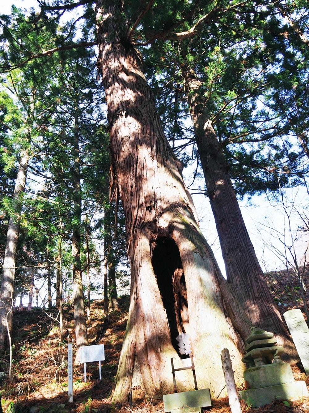 【群馬縣 | 沼田市】玉原滑雪場X 日本第一天狗:關東近郊一 【群馬縣 | 沼田市】玉原滑雪場X 日本第一天狗:關東近郊一