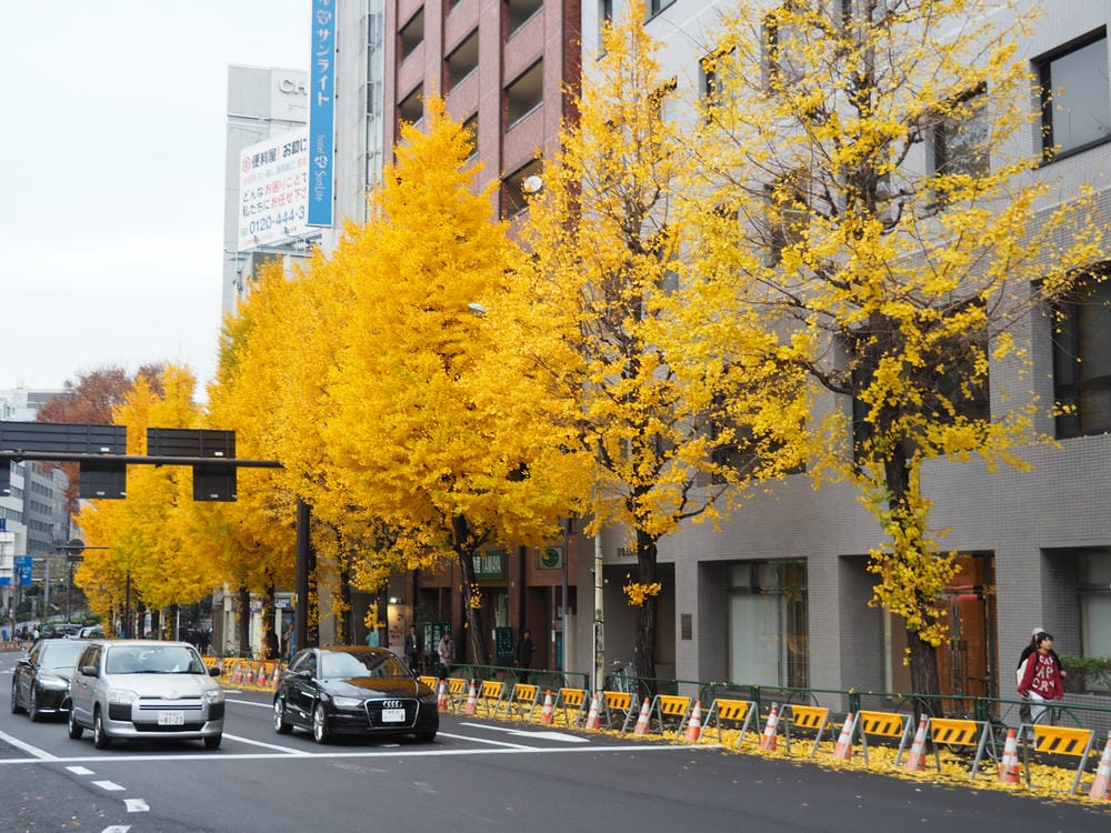 【東京 | 新宿住宿】東急STAY(TOKYU STAY): 【東京 | 新宿住宿】東急STAY(TOKYU STAY):