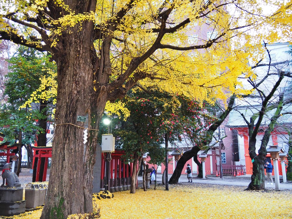 【東京 | 新宿住宿】東急STAY(TOKYU STAY): 【東京 | 新宿住宿】東急STAY(TOKYU STAY):