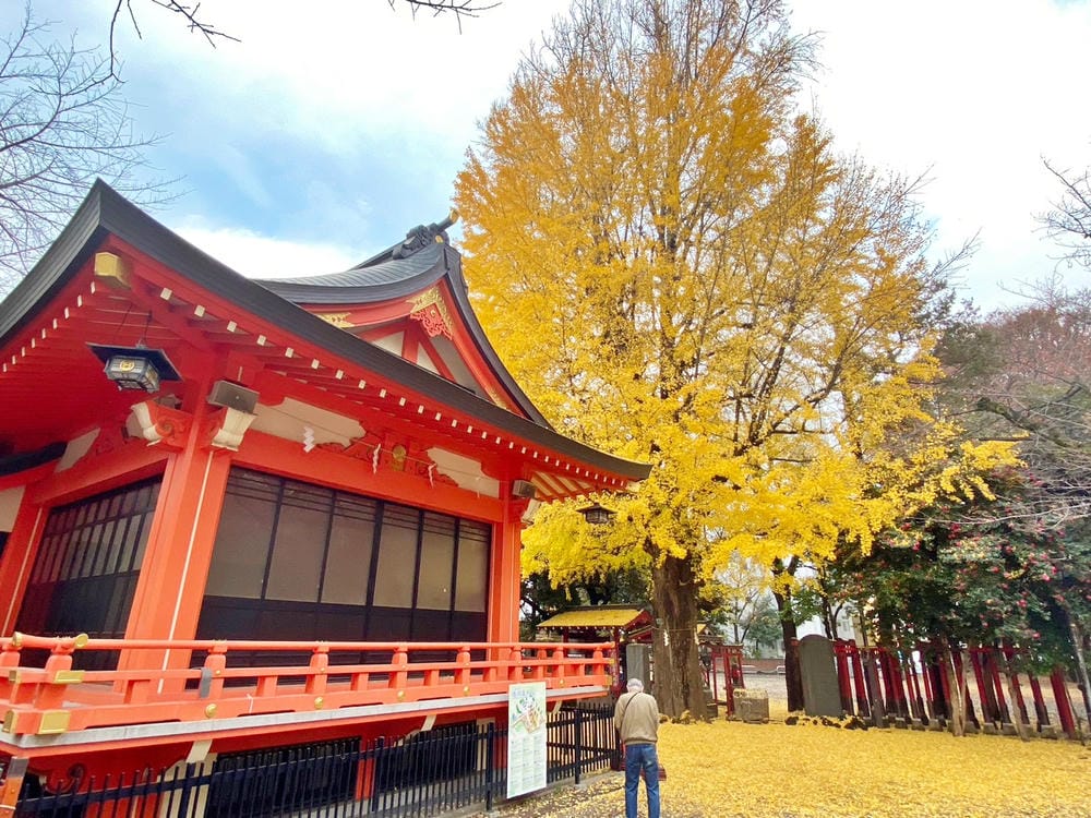 【東京 | 新宿住宿】東急STAY(TOKYU STAY): 【東京 | 新宿住宿】東急STAY(TOKYU STAY):