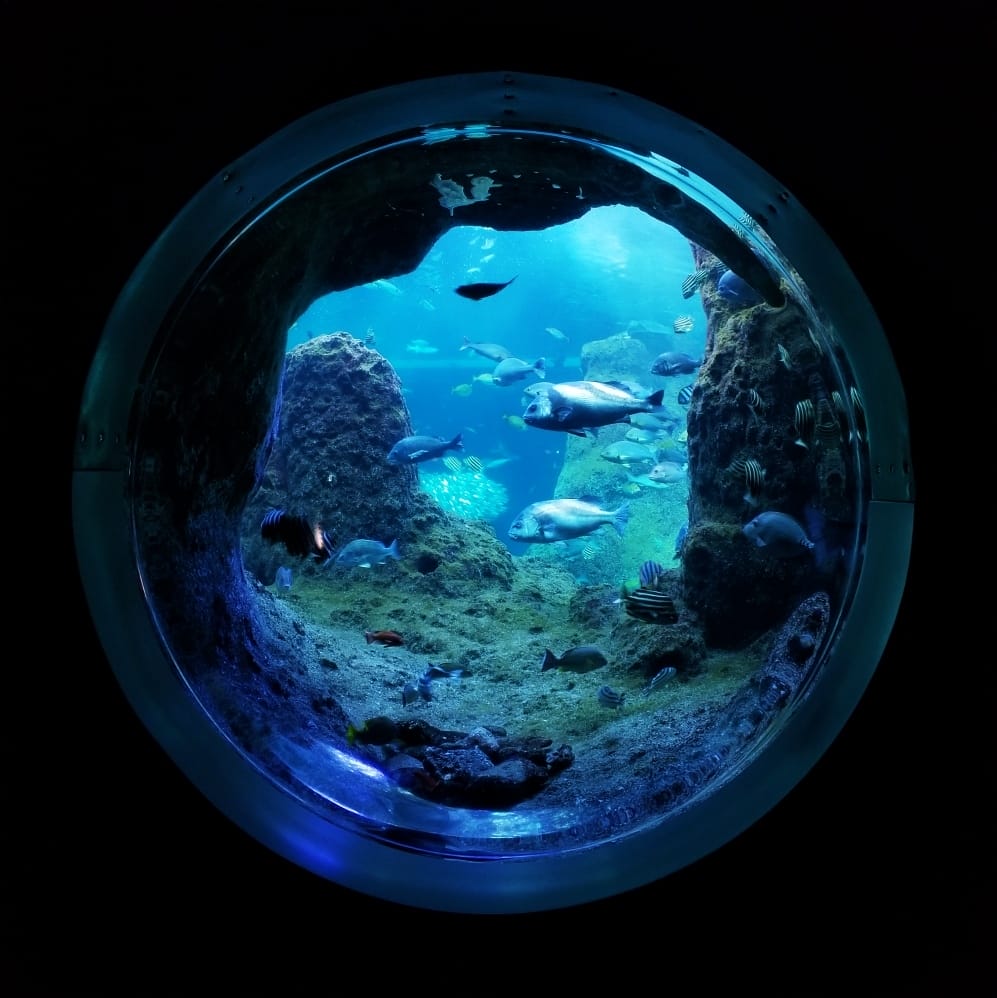 【神奈川縣】江之島:用一天的時間,走進日劇裡的悠閒氣息,浪漫 【神奈川縣】江之島:用一天的時間,走進日劇裡的悠閒氣息,浪漫