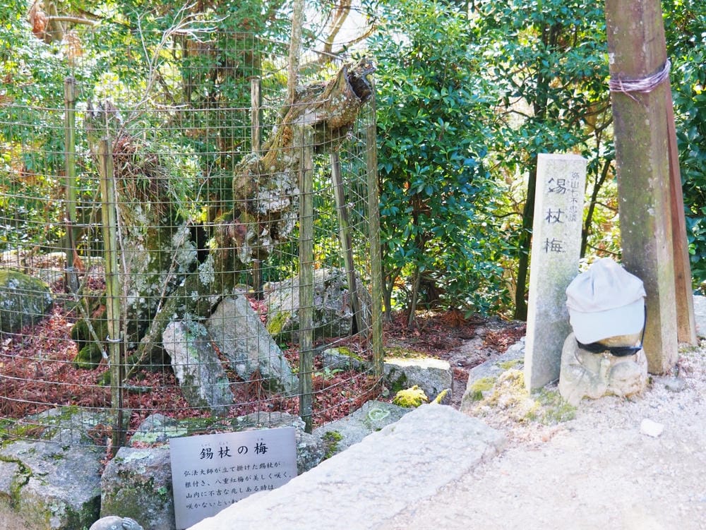 【廣島縣 | 宮島】搭乘宮島纜車，登獅子岩、彌山攻頂，360