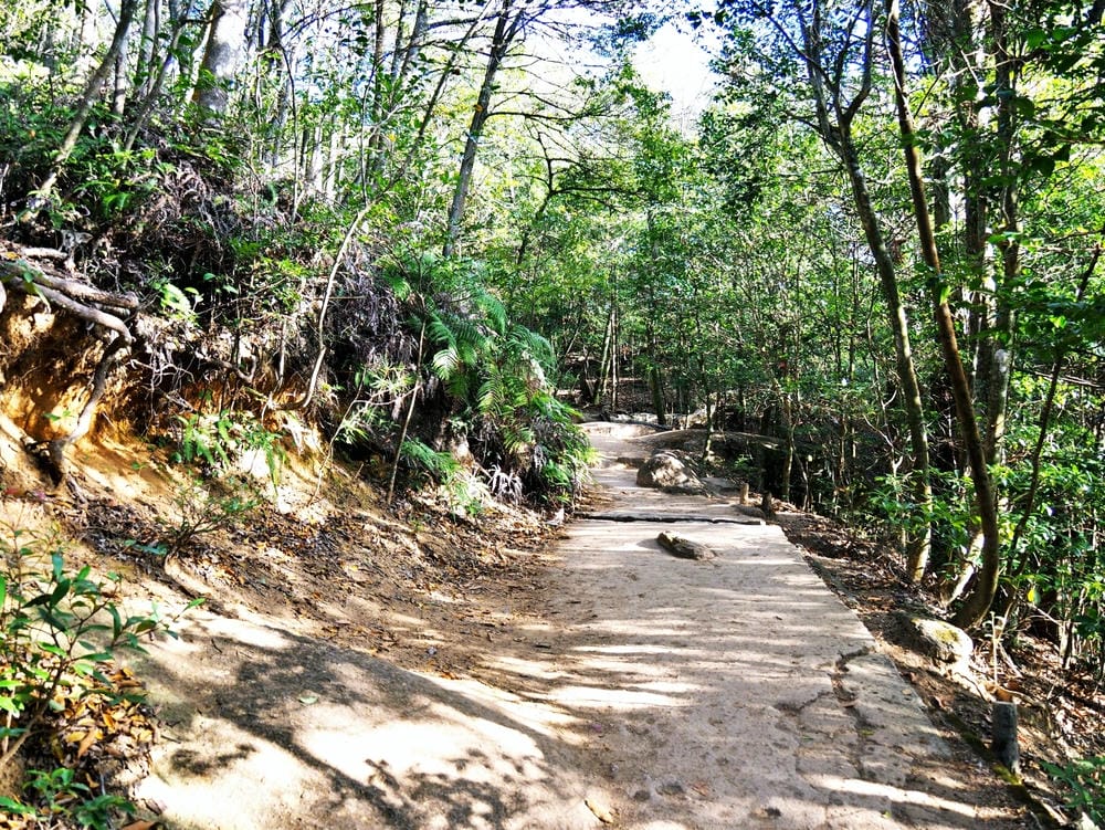 【廣島縣 | 宮島】搭乘宮島纜車，登獅子岩、彌山攻頂，360