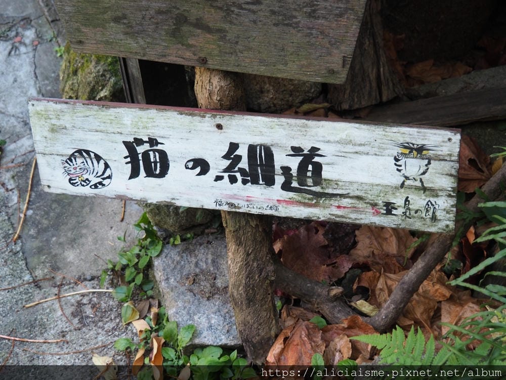 【廣島縣】尾道:3條散策路線,眺望瀨戶內島波風情、走進獨一無 【廣島縣】尾道:3條散策路線,眺望瀨戶內島波風情、走進獨一無