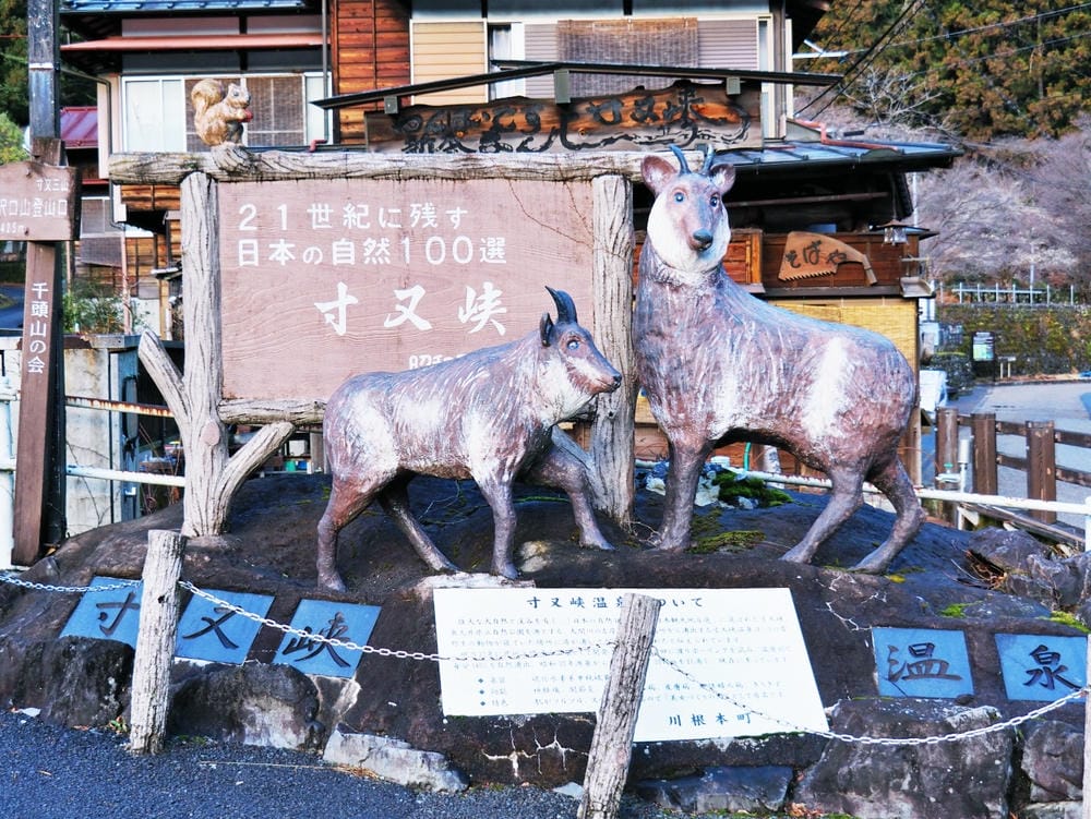 【靜岡縣 | 川根本町】搭乘大井川鐵道，體驗日本唯一亞伯式/