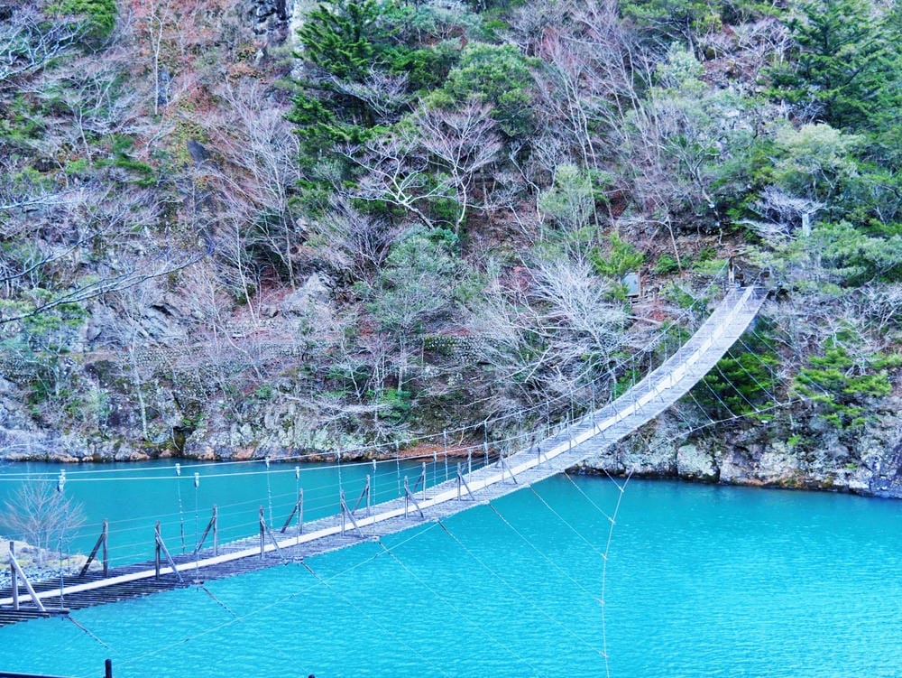 【靜岡縣 | 川根本町】搭乘大井川鐵道，體驗日本唯一亞伯式/