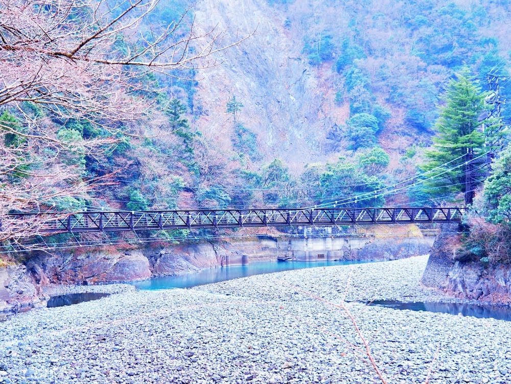 【靜岡縣 | 川根本町】搭乘大井川鐵道，體驗日本唯一亞伯式/