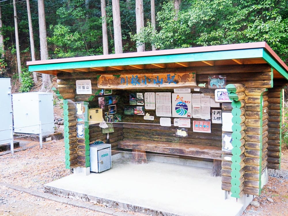【靜岡縣 | 川根本町】搭乘大井川鐵道，體驗日本唯一亞伯式/