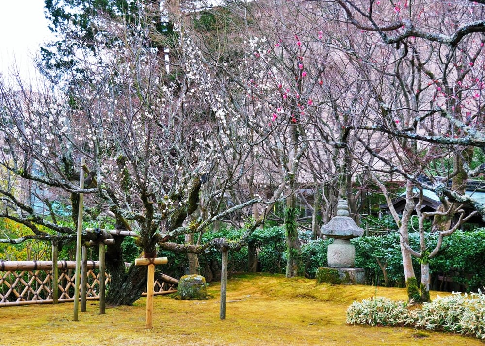 【靜岡縣 | 熱海】杉本博司X眺望海景的MOA美術館：著正統
