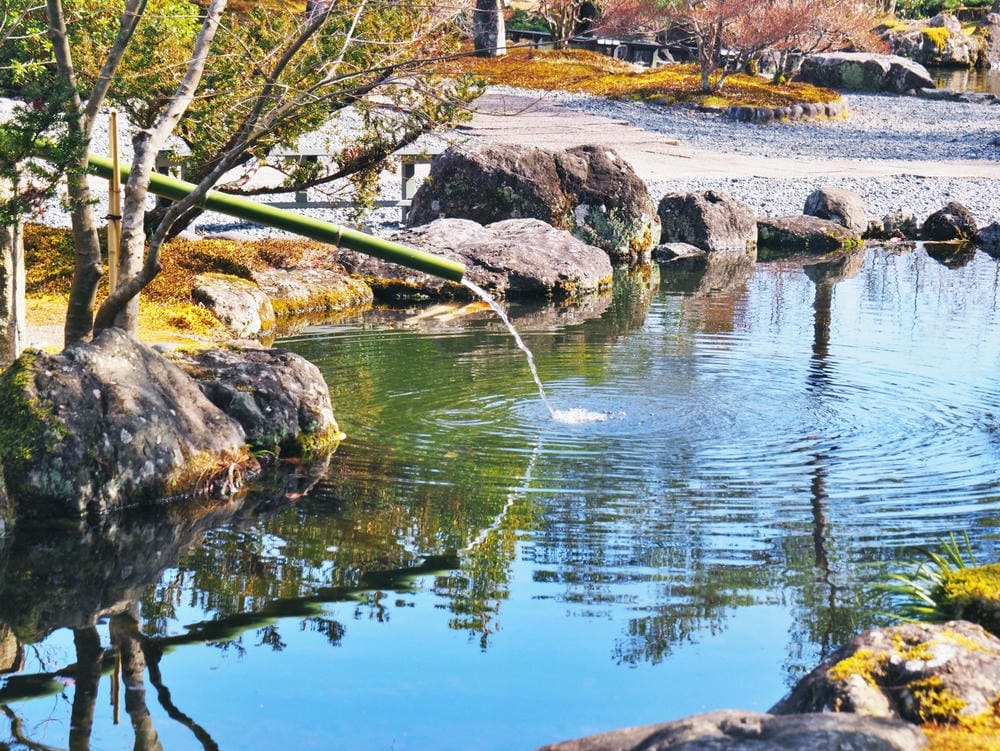【靜岡縣 | 藤枝市】真茶園,喝杯第一茶師的精選之作,玉露之 【靜岡縣 | 藤枝市】真茶園,喝杯第一茶師的精選之作,玉露之