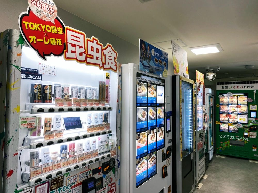 【靜岡縣 | 藤枝市】真茶園,喝杯第一茶師的精選之作,玉露之 【靜岡縣 | 藤枝市】真茶園,喝杯第一茶師的精選之作,玉露之