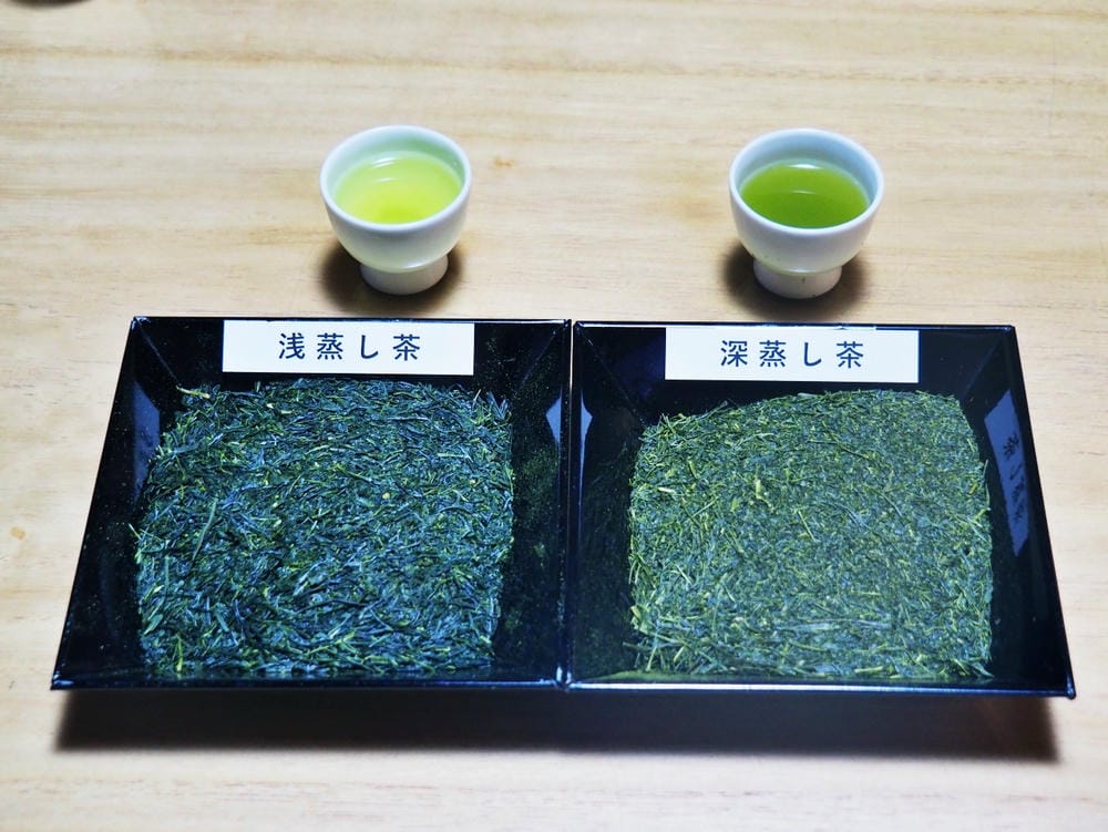【靜岡縣 | 藤枝市】真茶園,喝杯第一茶師的精選之作,玉露之 【靜岡縣 | 藤枝市】真茶園,喝杯第一茶師的精選之作,玉露之