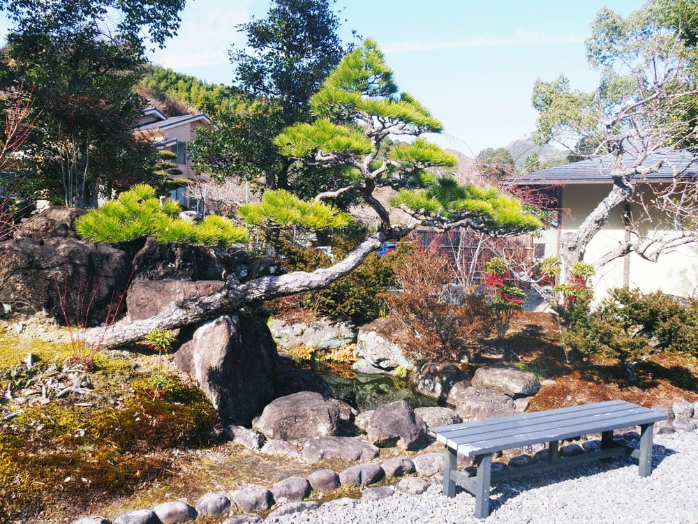 【靜岡縣 | 藤枝市】真茶園,喝杯第一茶師的精選之作,玉露之 【靜岡縣 | 藤枝市】真茶園,喝杯第一茶師的精選之作,玉露之