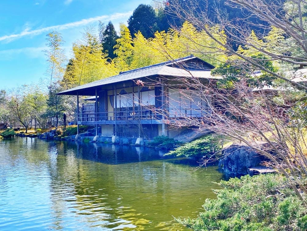 【靜岡縣 | 藤枝市】真茶園,喝杯第一茶師的精選之作,玉露之 【靜岡縣 | 藤枝市】真茶園,喝杯第一茶師的精選之作,玉露之
