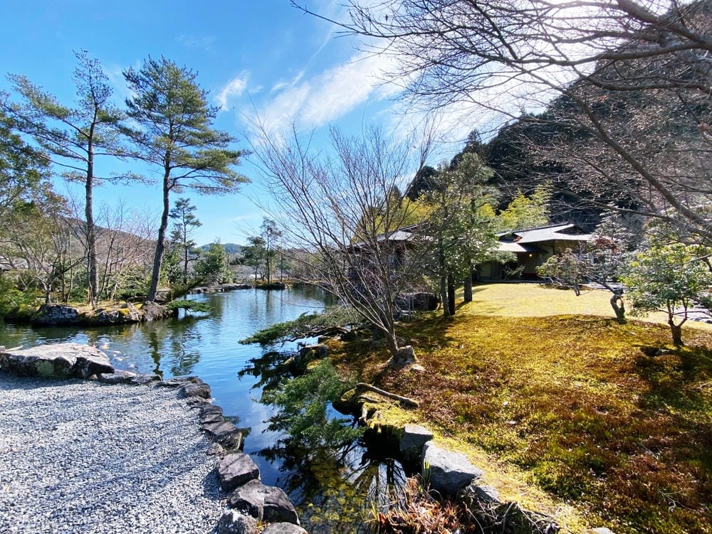【靜岡縣 | 藤枝市】真茶園,喝杯第一茶師的精選之作,玉露之 【靜岡縣 | 藤枝市】真茶園,喝杯第一茶師的精選之作,玉露之