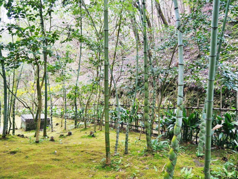 【廣島縣】從JR廣島站出發，入住格蘭飯店，搭乘JR PASS