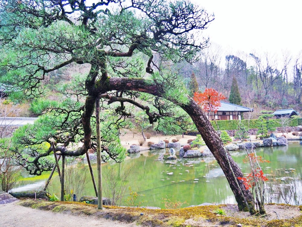 【廣島縣】從JR廣島站出發，入住格蘭飯店，搭乘JR PASS