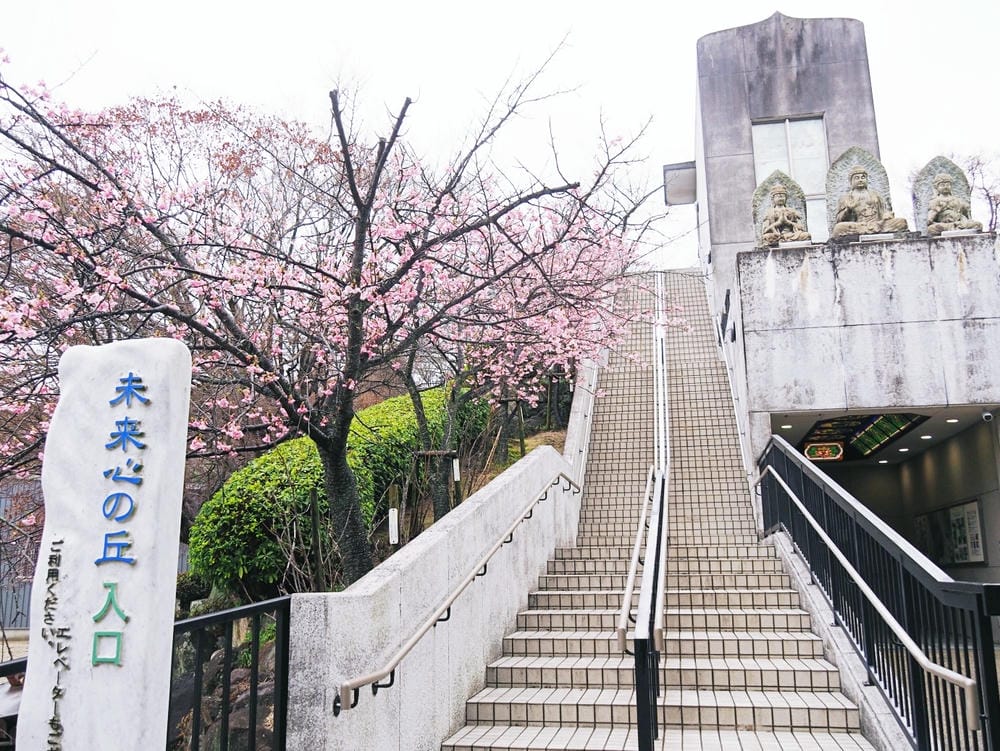 【廣島縣 | 生口島】乘著海風,來趟美宿yubune、美食、 【廣島縣 | 生口島】乘著海風,來趟美宿yubune、美食、