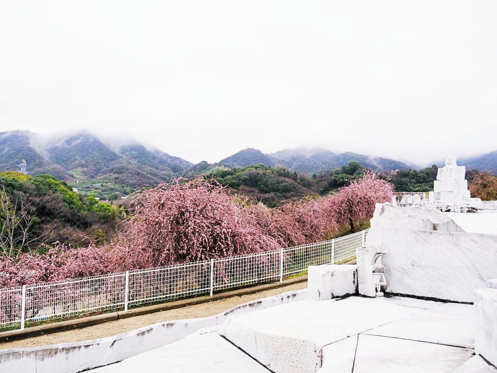 【廣島縣 | 生口島】乘著海風,來趟美宿yubune、美食、 【廣島縣 | 生口島】乘著海風,來趟美宿yubune、美食、