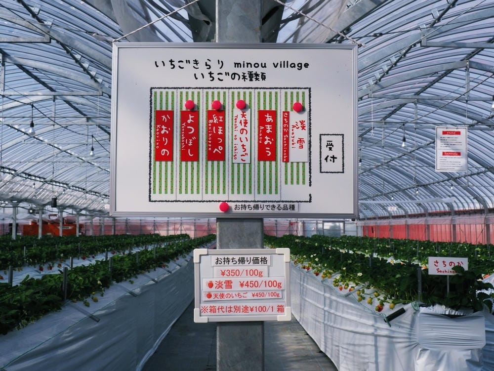 【福岡縣 | 久留米】夢幻七大草莓一次採收,極品草莓甜點甜入 【福岡縣 | 久留米】夢幻七大草莓一次採收,極品草莓甜點甜入