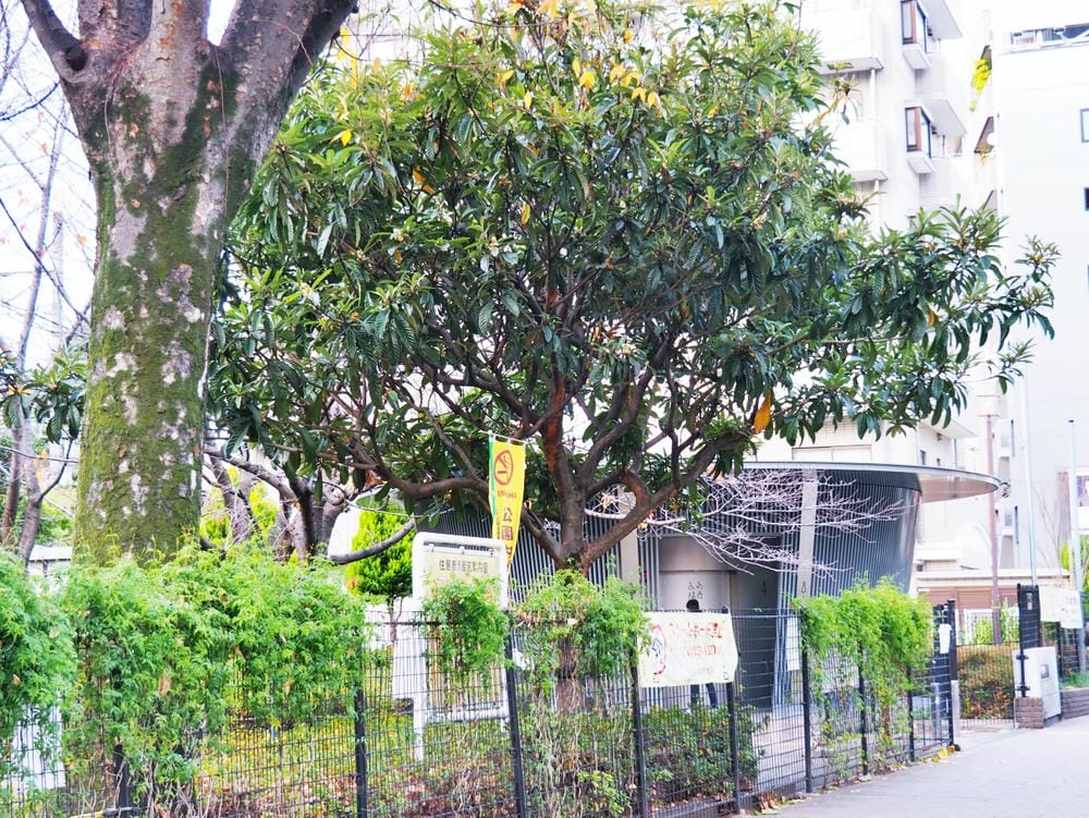 【東京都】走進電影《我的完美日常》,The Tokyo To 【東京都】走進電影《我的完美日常》,The Tokyo To