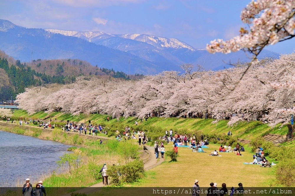 【秋田縣】(2024更新)角館武家屋敷、檜木內川河堤秘境:春 【秋田縣】(2024更新)角館武家屋敷、檜木內川河堤秘境:春