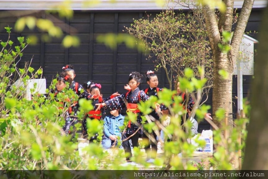 【秋田縣】(2024更新)角館武家屋敷、檜木內川河堤秘境:春 【秋田縣】(2024更新)角館武家屋敷、檜木內川河堤秘境:春