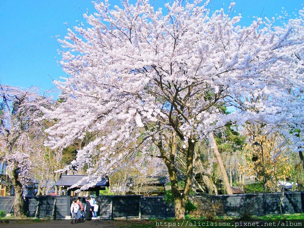 秋田-角館 (36).JPG 秋田-角館 (36).JPG