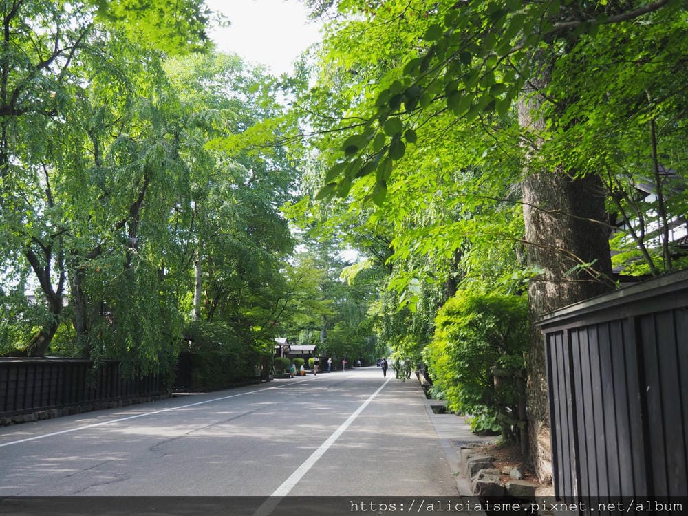 【秋田縣】(2024更新)角館武家屋敷、檜木內川河堤秘境:春 【秋田縣】(2024更新)角館武家屋敷、檜木內川河堤秘境:春