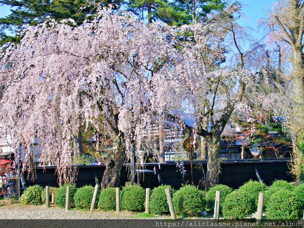 秋田-角館 (37).JPG 秋田-角館 (37).JPG