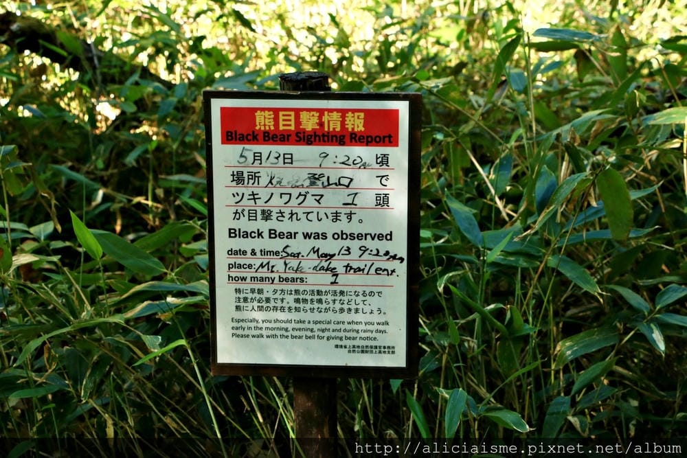 【長野縣】上高地: 人間仙境裡,看大自然作畫去(2024行程 【長野縣】上高地: 人間仙境裡,看大自然作畫去(2024行程