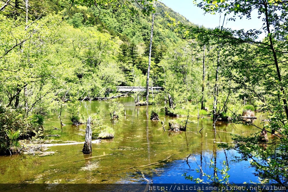 【長野縣】上高地《田代橋~河童橋～明神池》：人間仙境相遇的絕