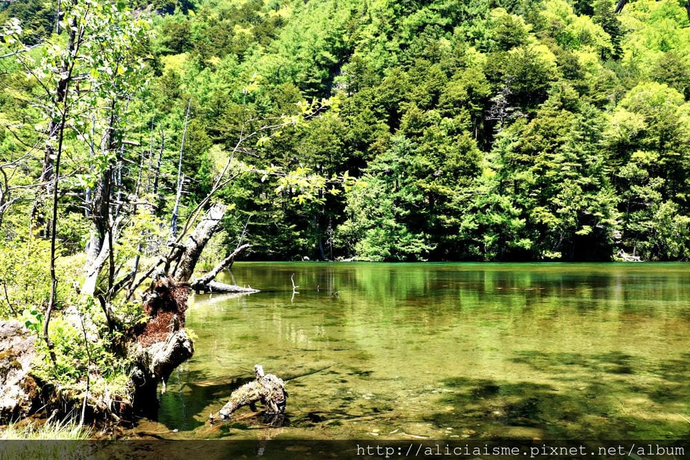 【長野縣】上高地《田代橋~河童橋～明神池》：人間仙境相遇的絕
