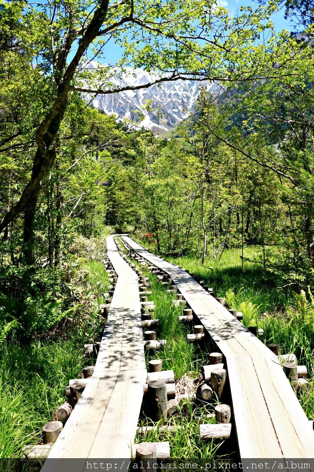 【長野縣】上高地《田代橋~河童橋～明神池》：人間仙境相遇的絕