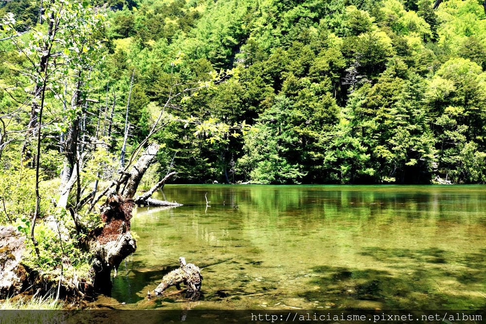 【長野縣】上高地《田代橋~河童橋～明神池》：人間仙境相遇的絕