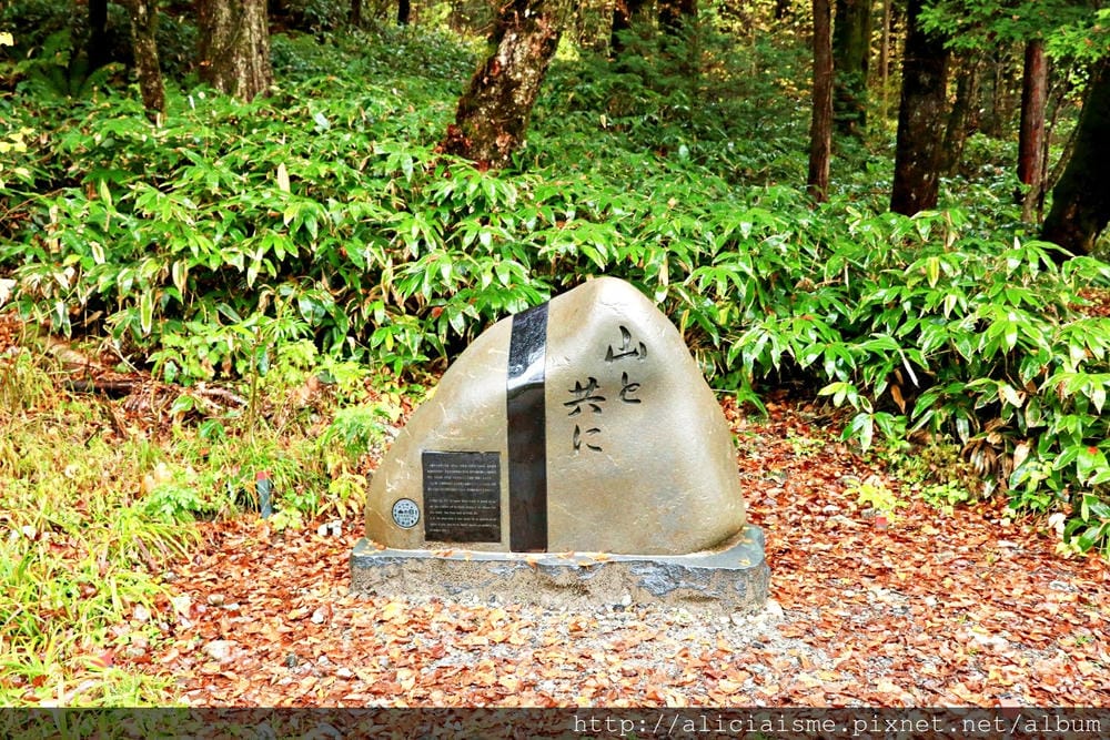 【長野縣】上高地《田代橋~河童橋～明神池》：人間仙境相遇的絕