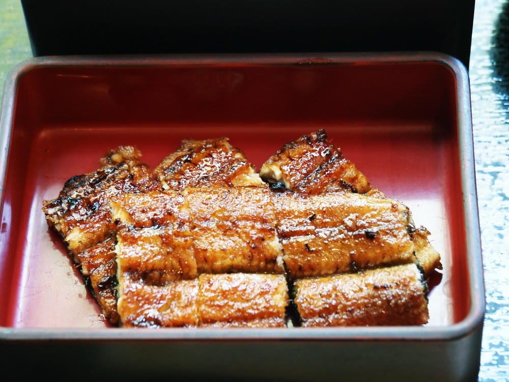 【宮崎縣】5間宮崎市區美食,吃遍當地龍蝦海鮮、碳烤地雞、鰻魚 【宮崎縣】5間宮崎市區美食,吃遍當地龍蝦海鮮、碳烤地雞、鰻魚