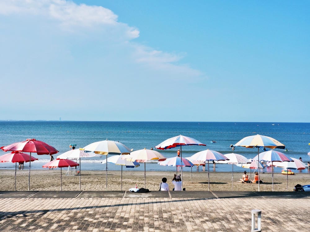 【宮崎市】青島、青島神社：鬼之洗衣板包圍的絕景能量地，日南海