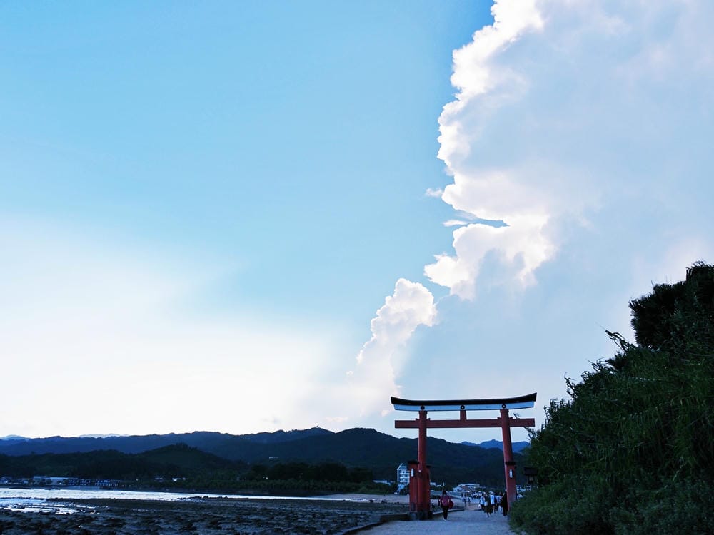 【宮崎市】青島、青島神社：鬼之洗衣板包圍的絕景能量地，日南海