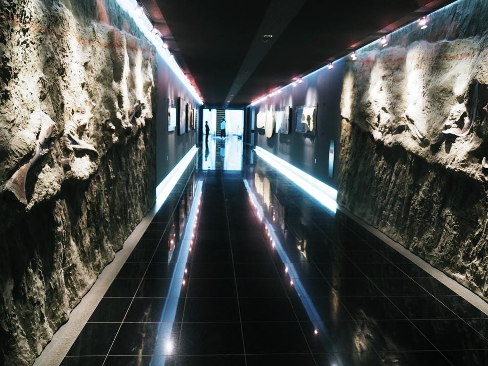 【福井縣】福井縣立恐龍博物館 :返回12,000萬年前,與恐 【福井縣】福井縣立恐龍博物館 :返回12,000萬年前,與恐