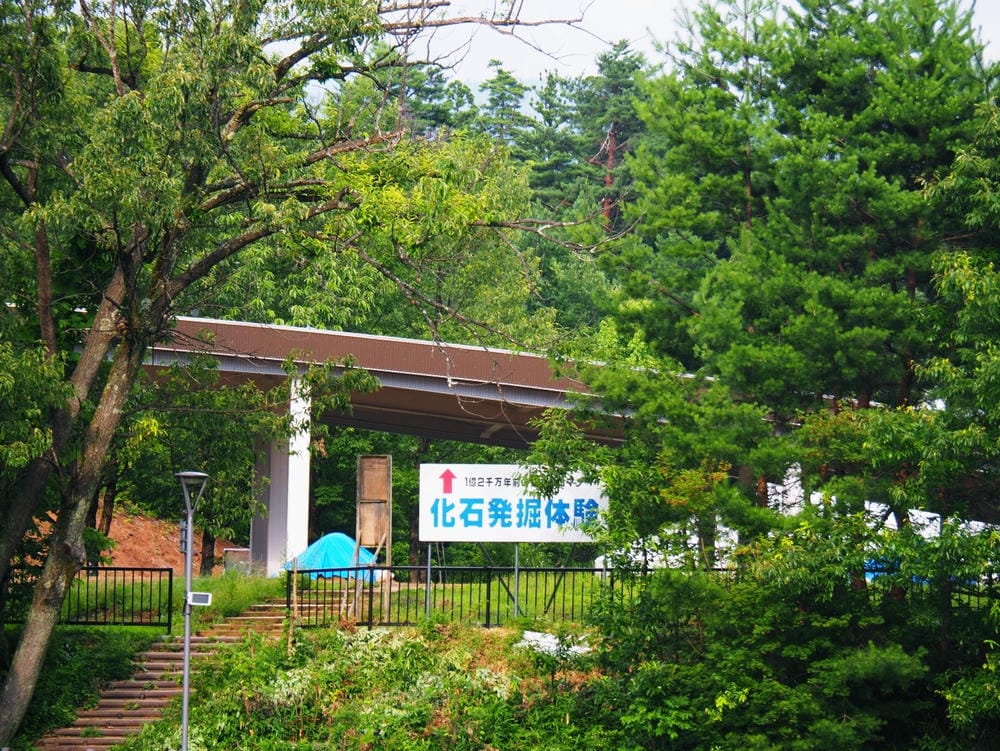 【福井縣】福井縣立恐龍博物館 :返回12,000萬年前,與恐 【福井縣】福井縣立恐龍博物館 :返回12,000萬年前,與恐