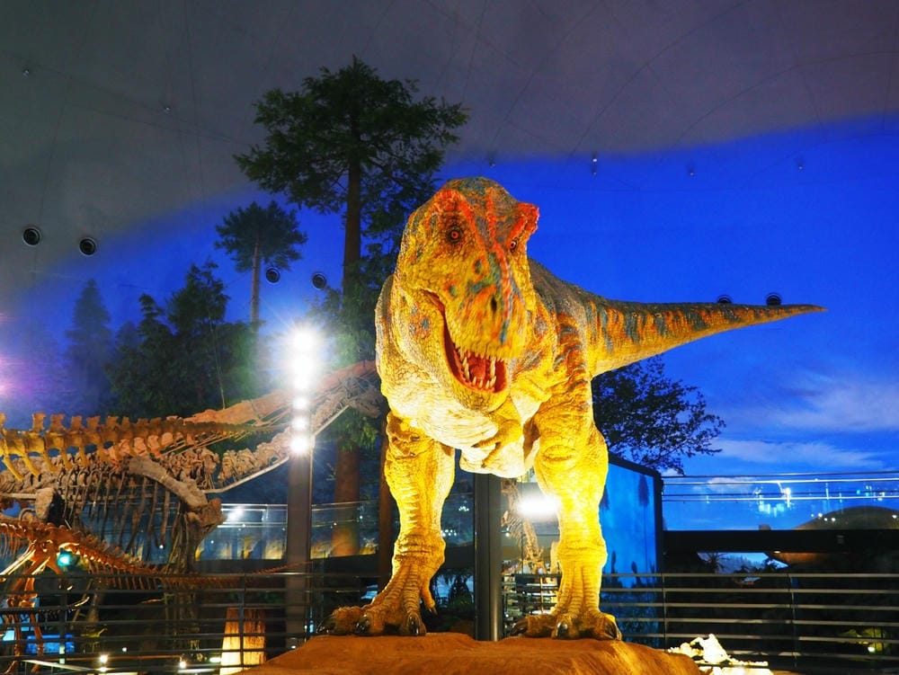 【福井縣】福井縣立恐龍博物館 :返回12,000萬年前,與恐 【福井縣】福井縣立恐龍博物館 :返回12,000萬年前,與恐